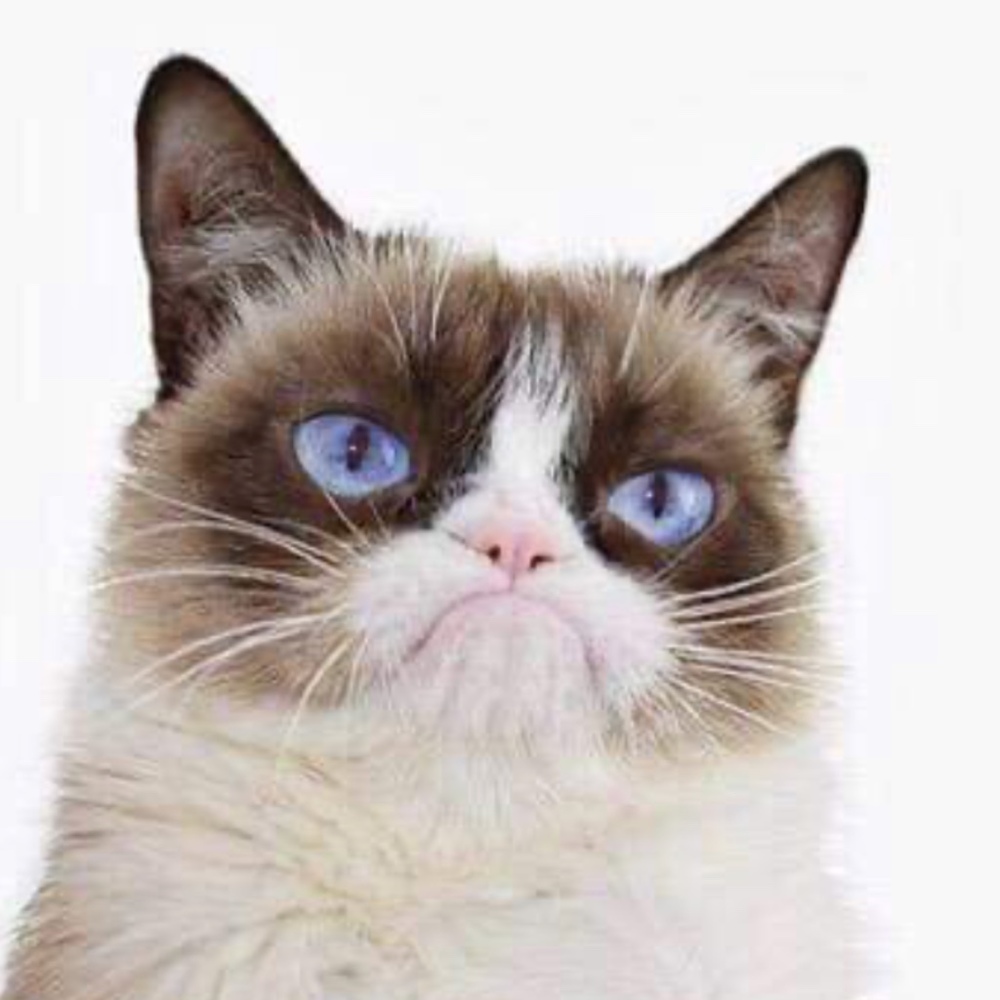 Meet your Posher, Crystle